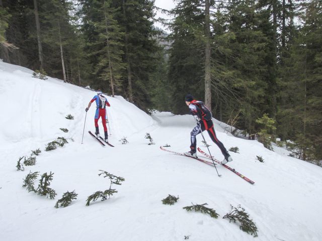 sonnschien2.jpg
